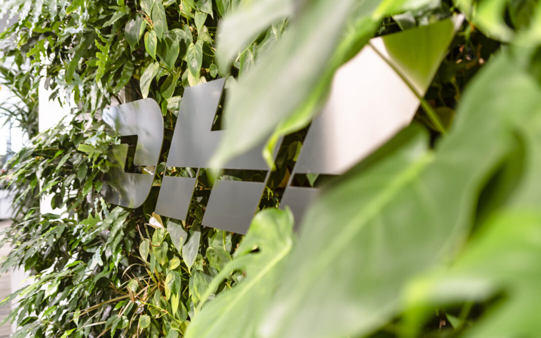 Giardini Verticali: dal progetto alla realizzazione