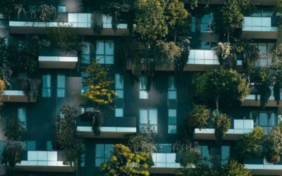 Architettura e interior design: trend, progetti e ispirazioni 11 Greenwashing e architettura sostenibile
