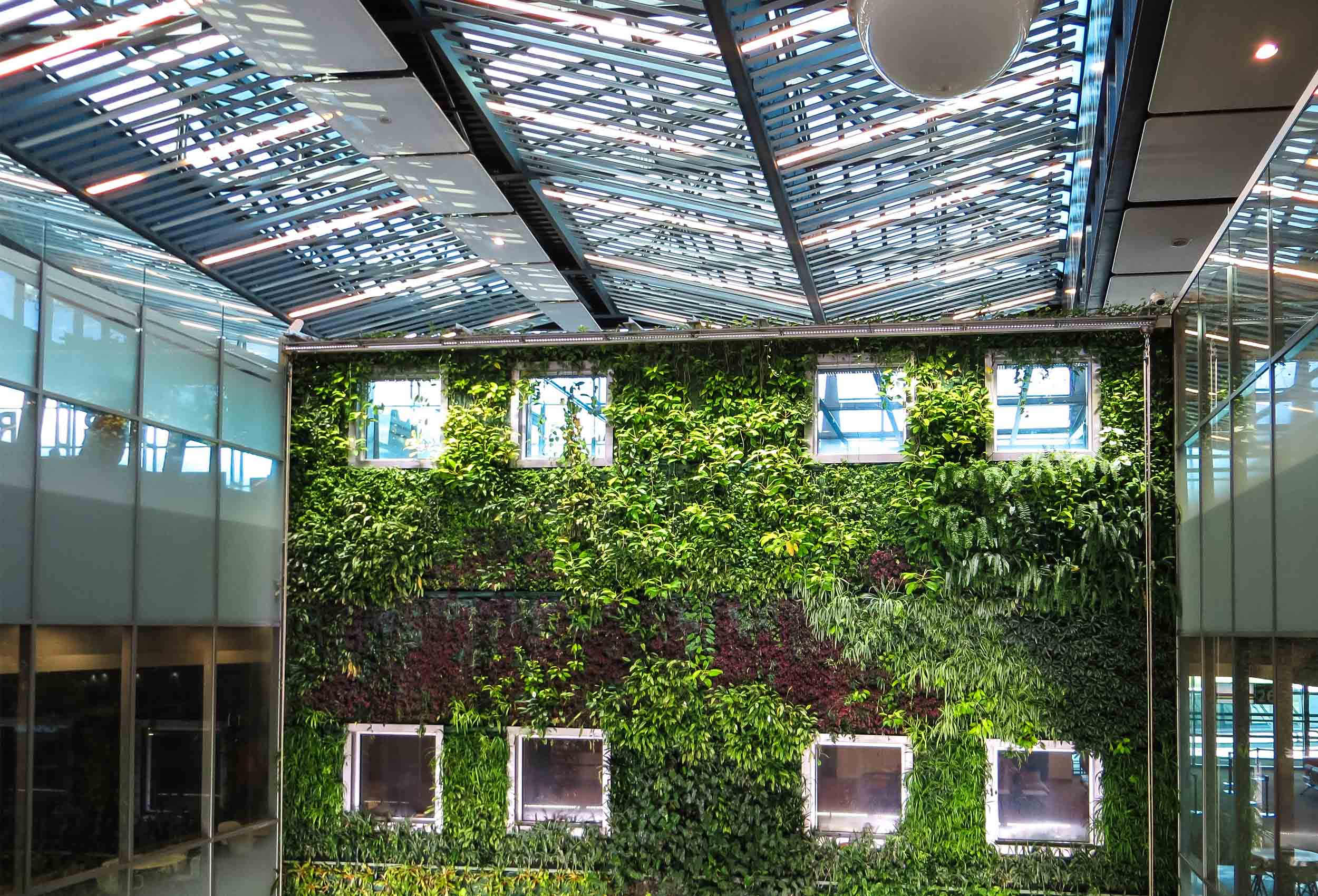 greenwashing-fad-studio-architettura-interior-design-forniti-1