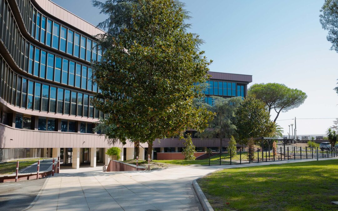 Tra gli alberi e le foglie